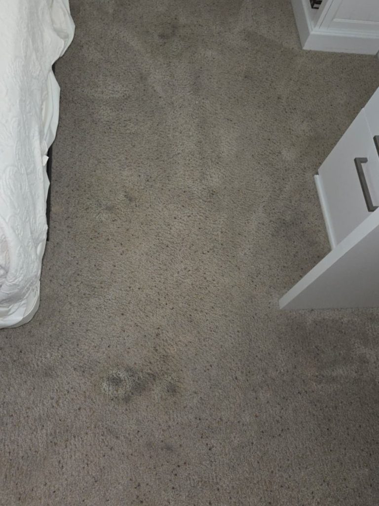 Peters Carpet Cleaning Experts