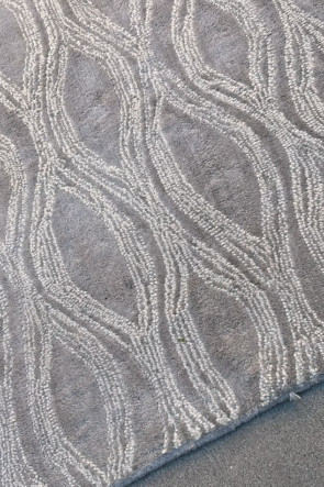 Peters Carpet Cleaning Experts ARC 1