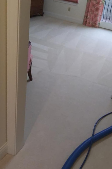 Peter's Carpet Cleaning Experts Carpet Cleaning