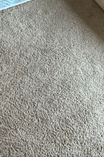 Peter's Carpet Cleaning Experts Peter's Carpet Cleaning Experts