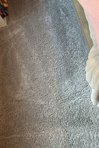 Peter's Carpet Cleaning Experts carpet cleaning in Parsippany-Troy Hills