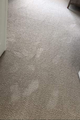 Peter's Carpet Cleaning Experts carpet cleaning in Parsippany-Troy Hills